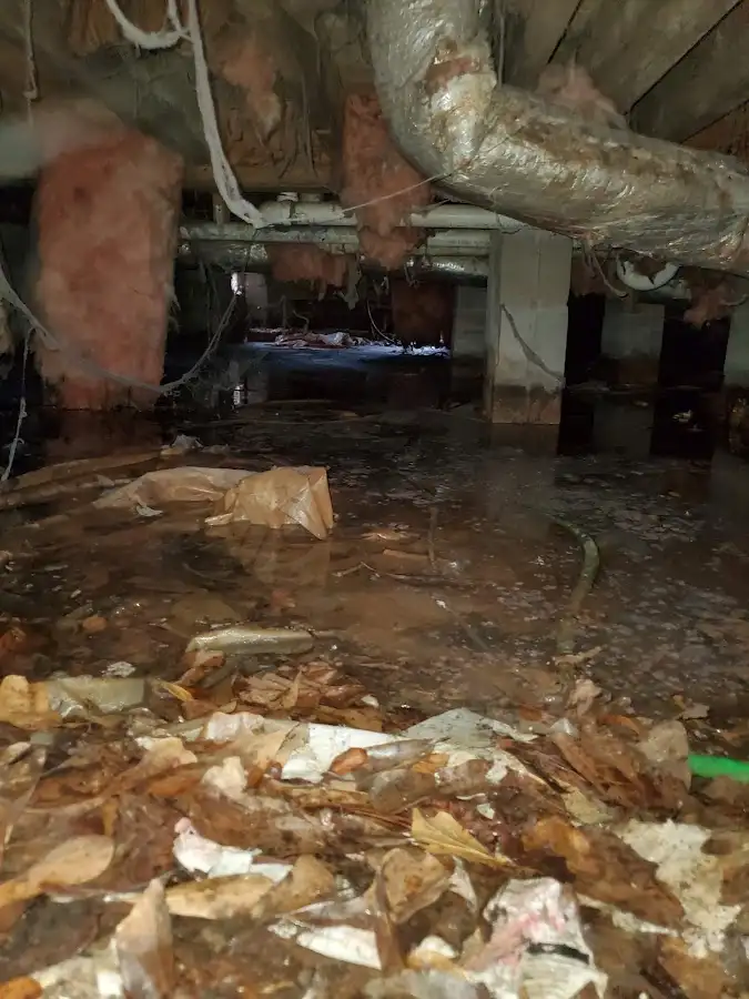 Crawl space flood assessment for Commercial Water Damage Restoration in Gateway